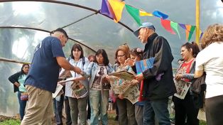 Noticias sobre jardinería