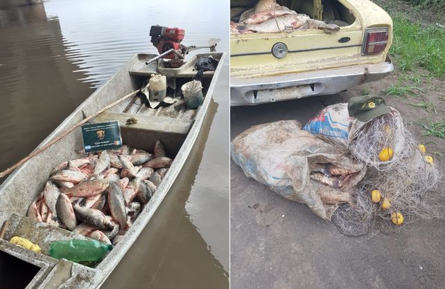 Alarma en el río Paraná. El gobierno santafesino prohibió el acopio de pescado para exportar