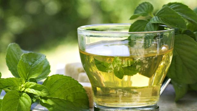 A tomar el té: propiedades y tipos de una infusión con beneficios para la salud