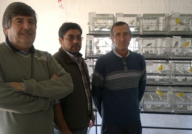 Especialistas. Mendoza