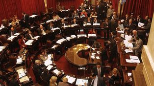 Ley de alquileres en la mira. La oposición pretende darle sanción definitiva a los cambios aprobados en Diputados