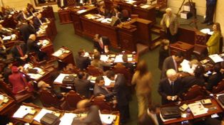 El Senado dio media sanción a la creación de “Santa Fe Gas y Energías Renovables”
