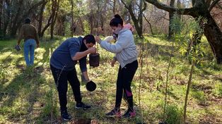 En Concepción del Uruguay concientizan a los niños sobre la importancia de los árboles nativos.&nbsp;