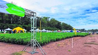 Tendencias. El encuentro está organizado por &nbsp;Agrobio y se realizará los días 21 y 22 de febrero de 2024.