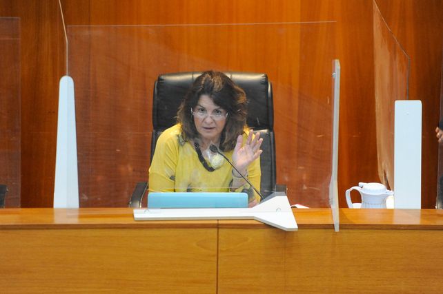 La jueza Hebe Marcogliese le pre¨guntó la ocupación a Cantero y él le respondió Contrato sicarios para tirar tiros a jueces.&nbsp;