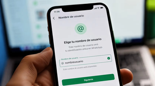 Ante posibles estafas, piden a WhatsApp que suspenda los nombres de usuario