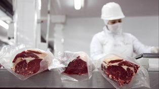 Carne: las exportaciones de julio alcanzaron los 322,1 millones de dólares