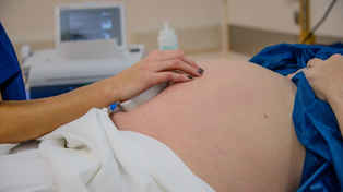 La técnica de fertilidad, denominada HyperSperm, fue desarrollada por dos investigadores del Conicet.