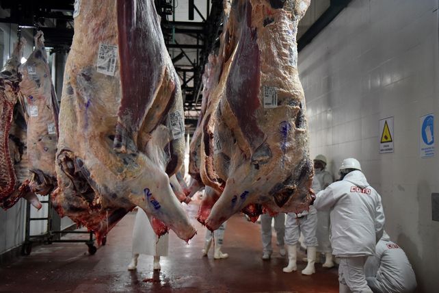 El gobierno nacional dispuso el cierre de las exportaciones de carne bovina por 30 días.