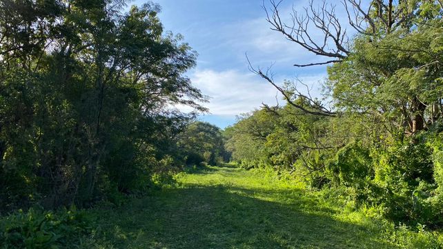 La cascada tiene en Villa Gobernador Gálvez un entorno natural de numerosos ejemplares y especies.