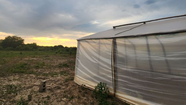 Nativas les permite a las empresas involucrarse en la acción climática