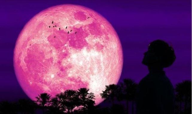 Este miércoles 1 de abril se podrá ver la Luna de una tonalidad rosada en el cielo.