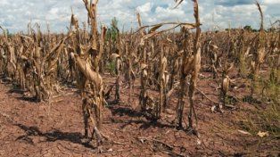 El campo en alerta ante la llegada de La Niña