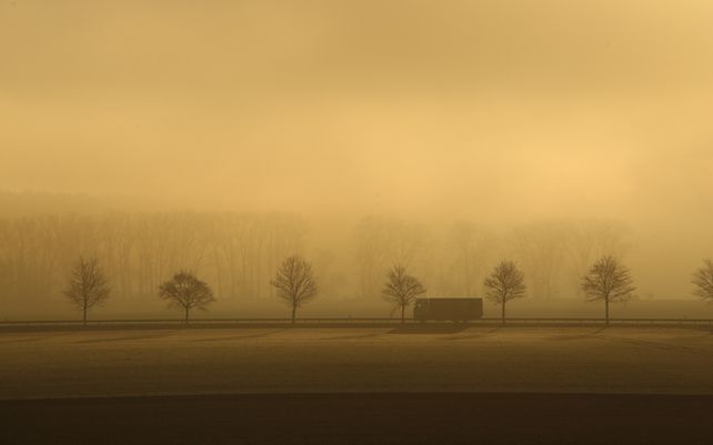 Un camión circula por una carretera durante un amanecer con intensa niebla cerca de Blankenburg