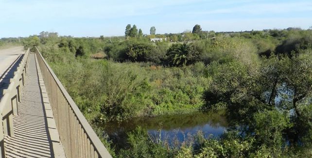Encontraron muerta a una mujer e investigan si se trata de Susana Villarruel