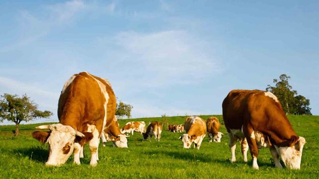 El Congreso de Producción Animal abordó los desafíos del rubro.