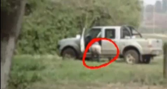 Piden la destituci&oacute;n de la concejala que fue filmada cuando se baj&oacute; los pantalones en una discusi&oacute;n callejera