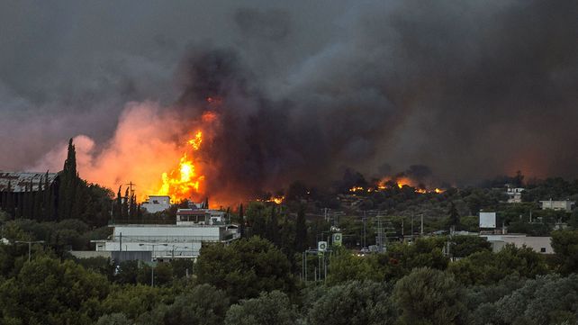 El mayor incendio de la década en Grecia deja numerosos muertos, casas y vehículos destruidos