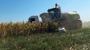 Escaneo pre cosecha: cuáles son las zonas más devastadas y las que todavía prometen