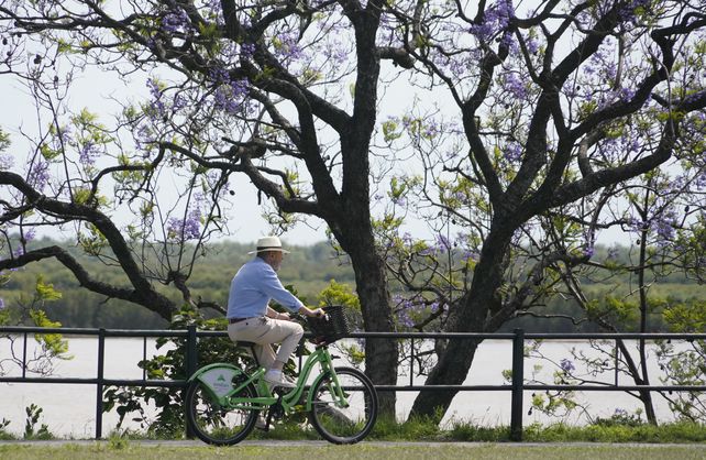 El turismo en Rosario viene creciendo desde hace más de un año