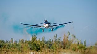 Los cambios propuestos buscan prohibir la fumigación aérea.&nbsp;