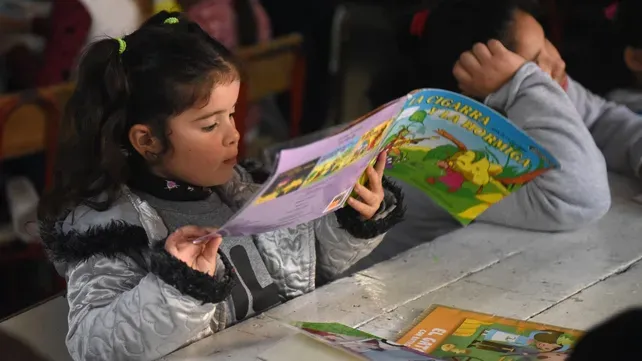 Por la baja de la natalidad, el nivel inicial tiene cada vez menos alumnos