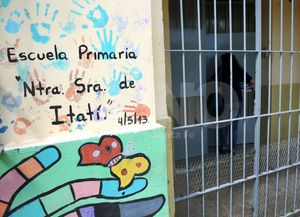 Una nueva balacera en el frente de la escuela Itatí de barrio Centenario