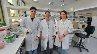Innovación y ciencia en Rosario: desarrollan un test rápido de dengue