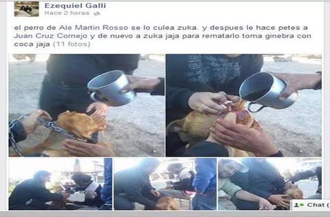 Emborracharon a un perro, abusaron de él y subieron la escena a Facebook