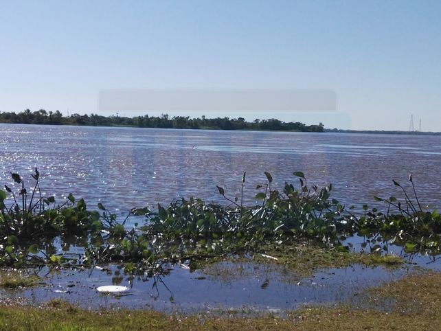 En la capital provincial, el río Paraná está a 24 centímetros del nivel de evacuación