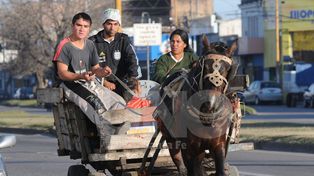 Un proyecto que buscará erradicar la tracción a sangre en la provincia
