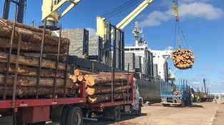 Desde Uruguay sale un nuevo embarque de madera a China