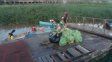 Nueva jornada de limpieza en el río Paraná