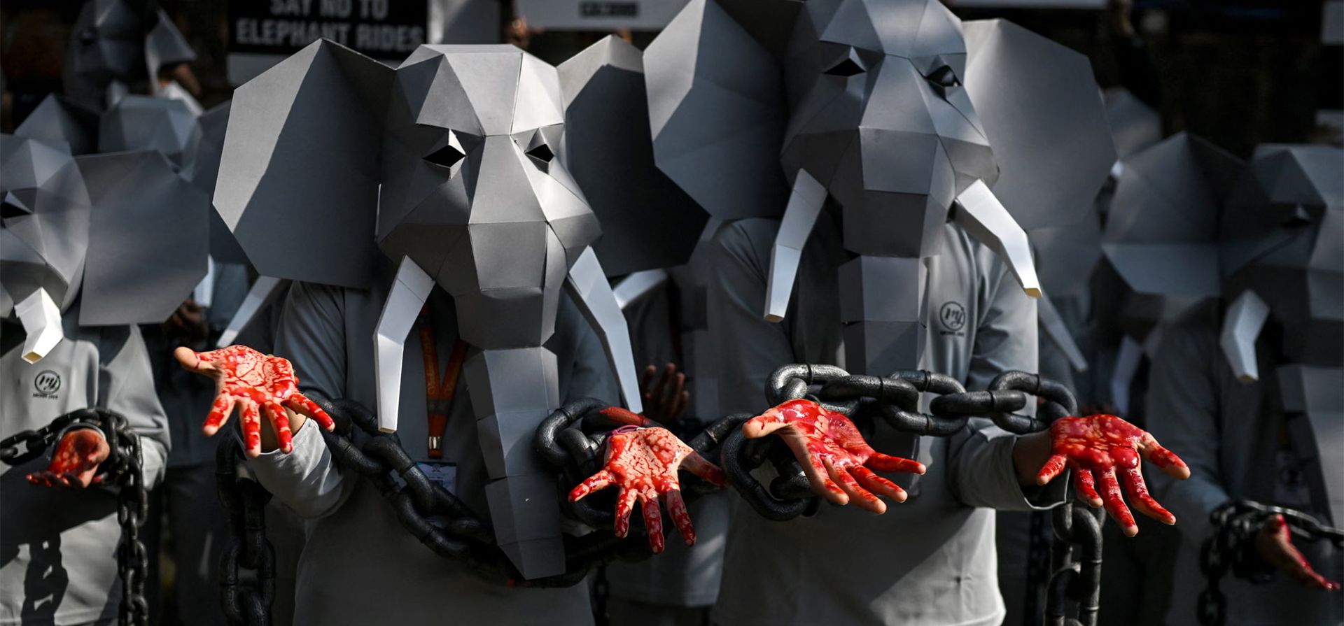 Los defensores de People for Ethical Treatment of Animals (Peta) organizan una protesta contra los paseos en elefante y el maltrato animal, en vísperas del Día Internacional de los Derechos de los Animales, Delhi, India. Fotografía: Arun Sankar/AFP/Getty Images Los defensores de People for Ethical Treatment of Animals (Peta) organizan una protesta contra los paseos en elefante y el maltrato animal, en vísperas del Día Internacional de los Derechos de los Animales, Delhi, India. Fotografía: Arun Sankar/AFP/Getty Images