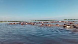 La Provincia coordina acciones con municipios ante el impacto fluvial de El Niño.