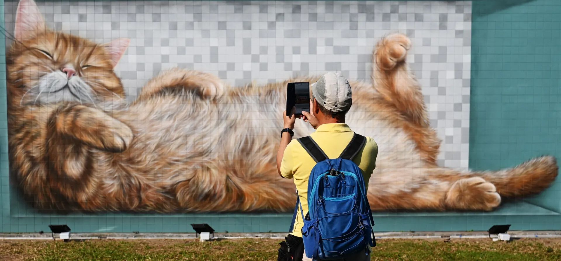 Un mural que representa a un gato descansando del artista callejero Vladi es fotografiado por un hombre fuera de un hotel, Hong Kong. Fotografía: Peter Parks/AFP/Getty Images Un mural que representa a un gato descansando del artista callejero Vladi es fotografiado por un hombre fuera de un hotel, Hong Kong. Fotografía: Peter Parks/AFP/Getty Images