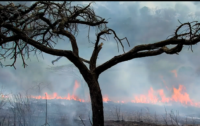 Menos carbono es más vida: la campaña de MoveRSE para reducir la Huella de Carbono