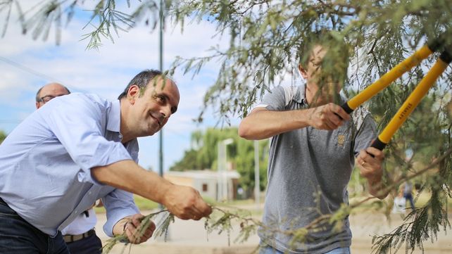 El Municipio planta unos 1.100 árboles por mes dentro del marco del plan de Forestación