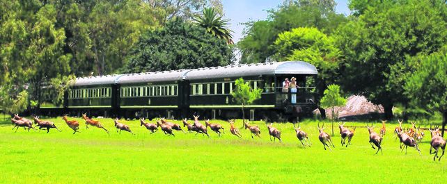Inolvidable postales. El tren ofrece una amplia variedad de rutas de distinta duración