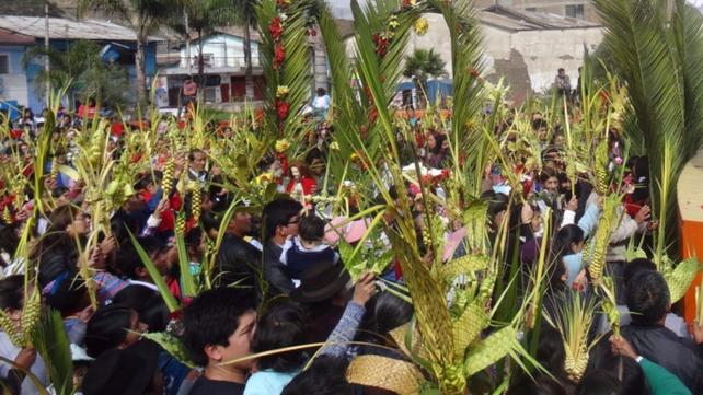 El domingo previo a la Pascua, los católicos conmemoran con ramos la fecha en que Jesús se proclamó rey de los judíos y fue recibido en Jerusalén.