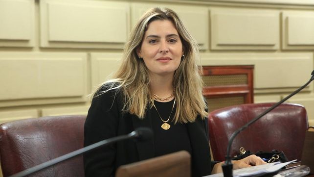 La diputada socialista Lionela Catalini, impulsora de la ley que suspende los remates de viviendas a tenedores de créditos UVA. 