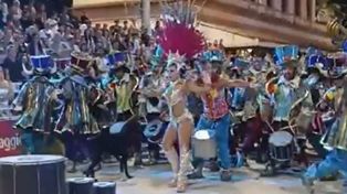 Carnaval de Gualeguaychú: un joven de una comparsa  golpeó a un perro que se coló