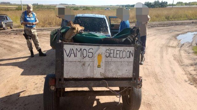 Este sábado por la tarde
