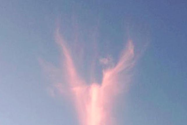 Apareció una nube con forma de ángel tras la elección del Papa