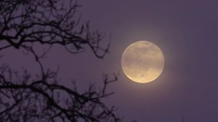 Llega una nueva Luna de Fresa: qué es y cuándo se la puede ver en el cielo