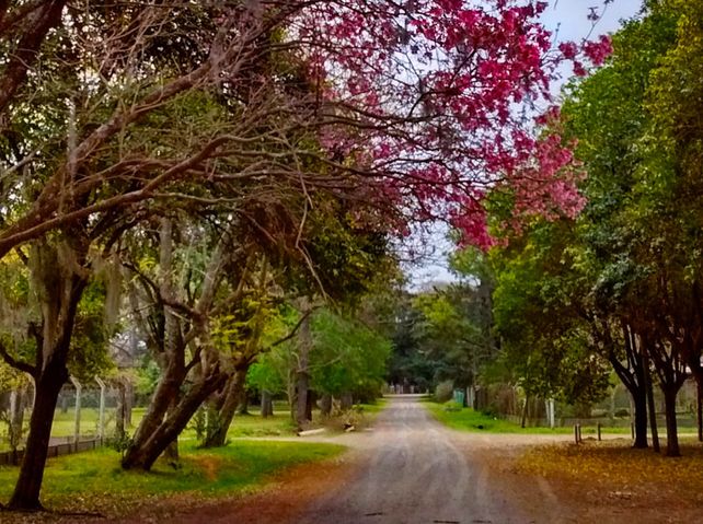 Verano cerca de Rosario. Así es la entrada a Arroyo Seco