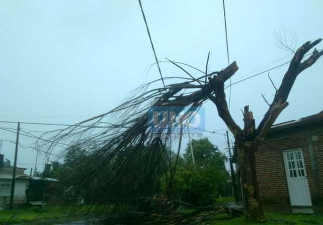Terrible temporal de lluvia y viento generó graves destrozos en Paraná