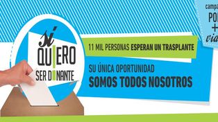 Donación de órganos: hay más de 800 mesas en todo el país para la inscripción voluntaria