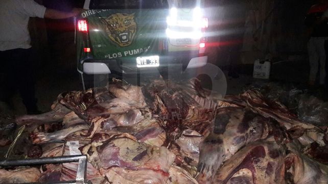 Secuestraron más de 5.000 kilos de carne vacuna no apta para consumo humano