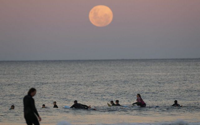 Los surfistas esperan las olas mientras la luna sale en Sydney. Un eclipse lunar total, también conocido como Super Blood Moon, tendrá lugar más tarde noche, ya que la luna aparece de color ligeramente rojizo-anaranjado.